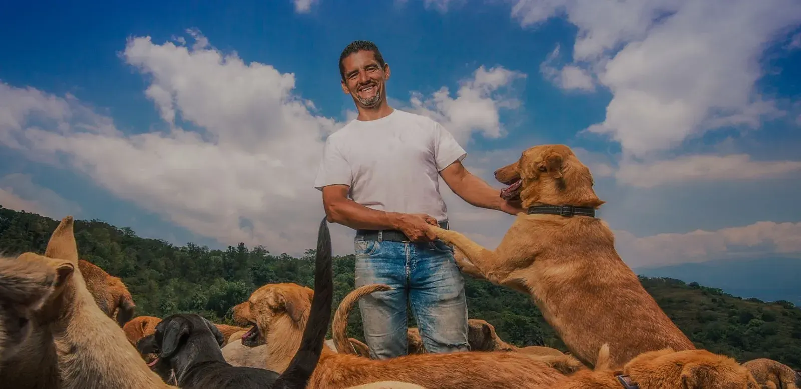 A caretaker playing with rescued dogs on the farm